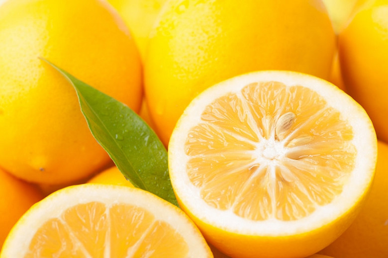 Citrus x limon Meyer (Meyers Lemon)