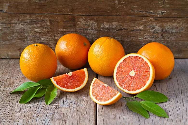 Citrus sinensis Cara Cara (Navel Orange)