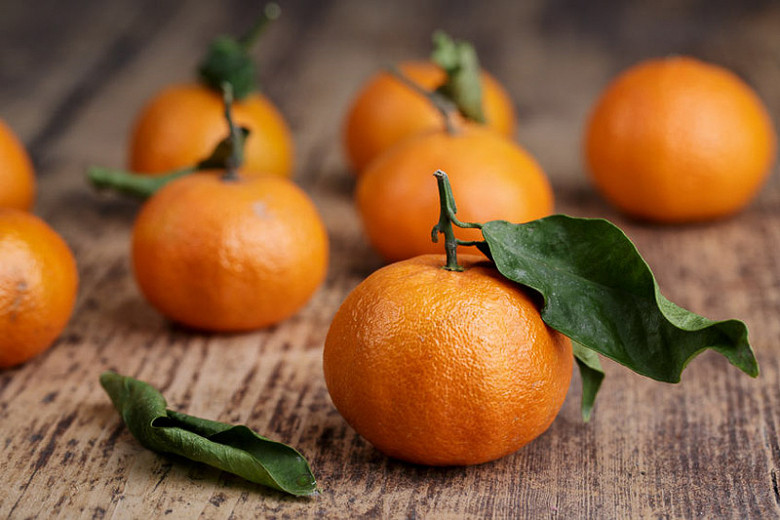 Citrus clementina (Clementine)