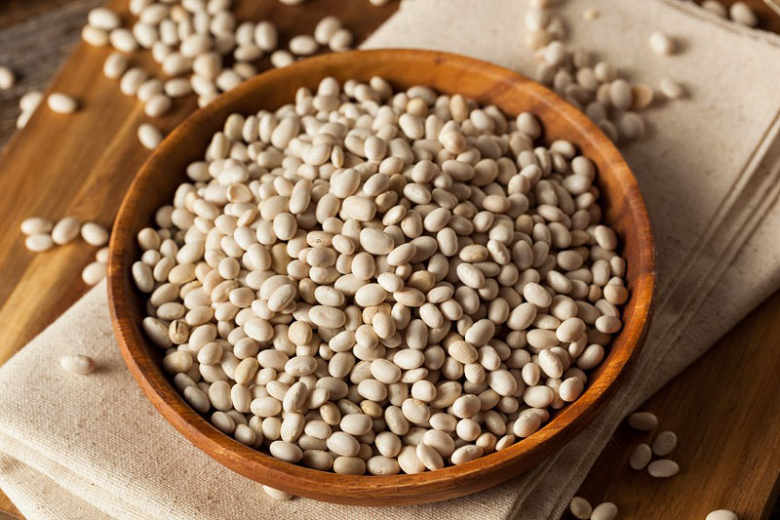 Phaseolus vulgaris - Navy Beans